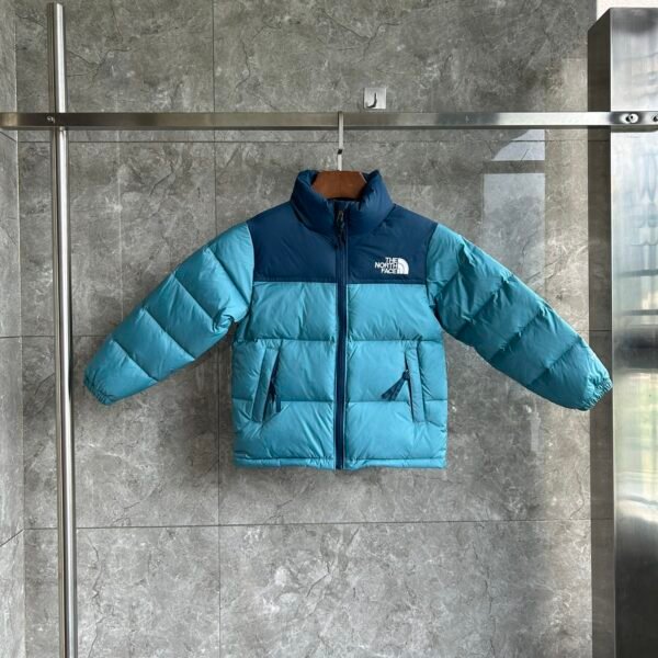 TNF 1996 Retro Nuptse Jacket - Jacket