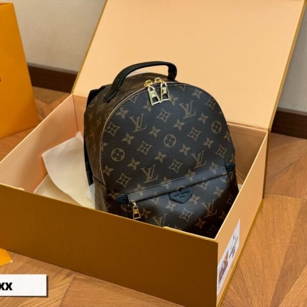 LV Palm Springs Mini Monogram - Bag