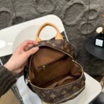 LV Palm Springs Mini Monogram – Borsa
