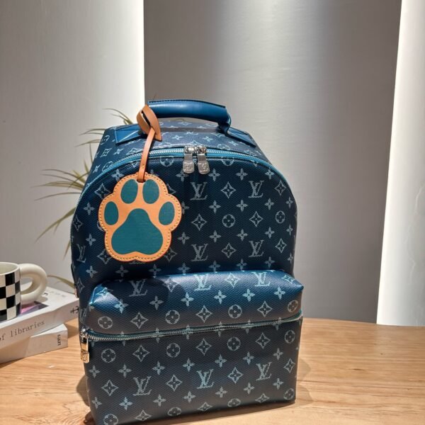 LV Discovery Backpack - Bag