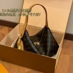 LV Loop Hobo Monogram – Bag