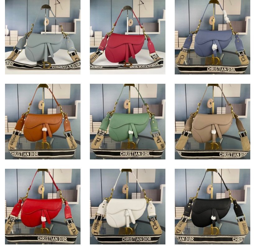CD Saddle Various Colors - Bag