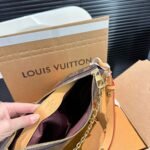 LV Loop – Sac