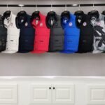 CG Freestyle Vest – Gilet – Grigio