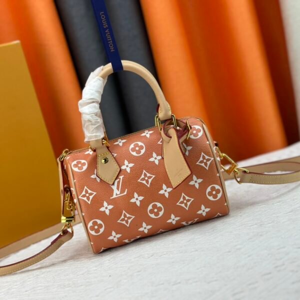 LV Speedy Bandoulière 20 - Bag