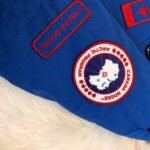 CG Expedition Parka – Jacket – Tan