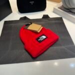 TNF Logo Beanie Red Wool – Hat