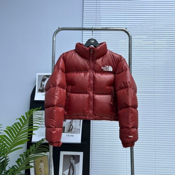 TNF 1996 Retro Nuptse Jacket - Jacket