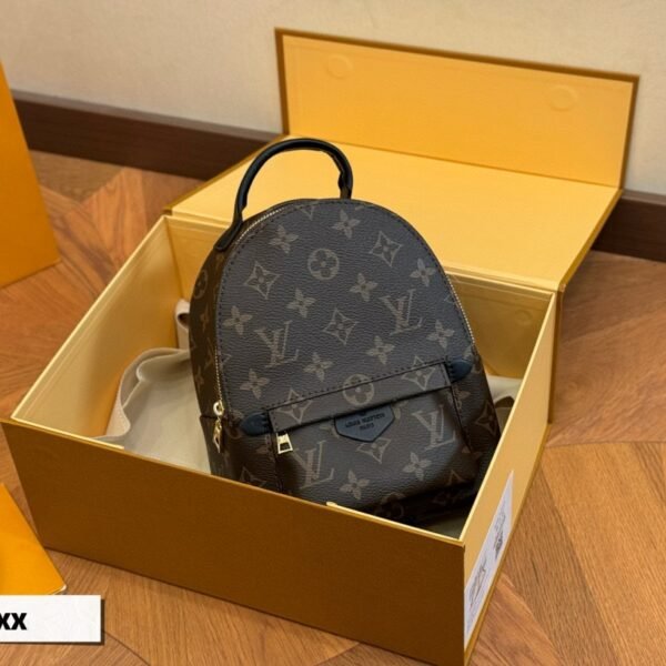 LV Palm Springs Mini Monogram - Bag