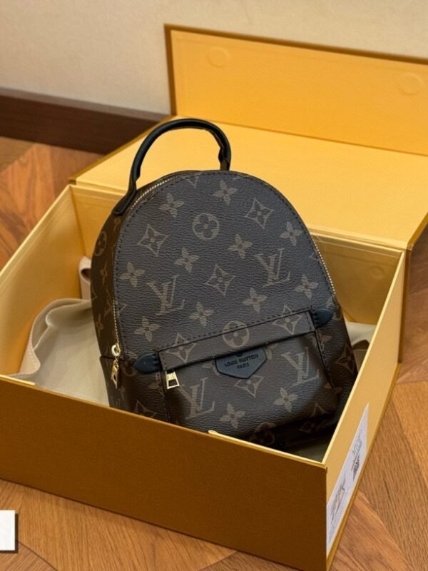LV Palm Springs Mini Monogram – Sac