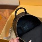 LV Palm Springs Mini Monogram – Borsa