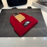 TNF Logo Beanie Red Wool – Hat