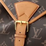 LV Montsouris Monogram – Backpack