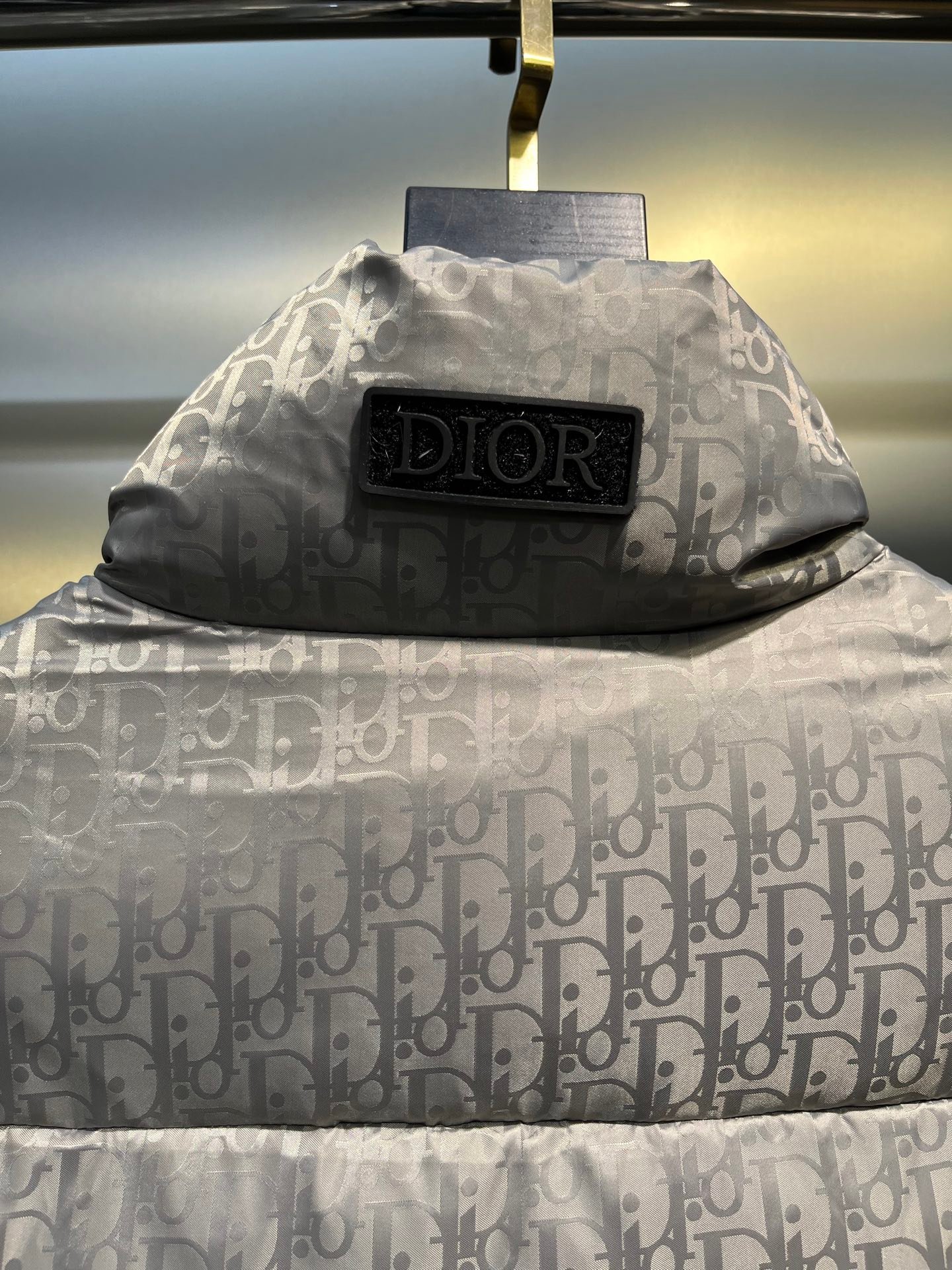 CD Oblique Down Vest Grey Oblique - Vest - Image 5