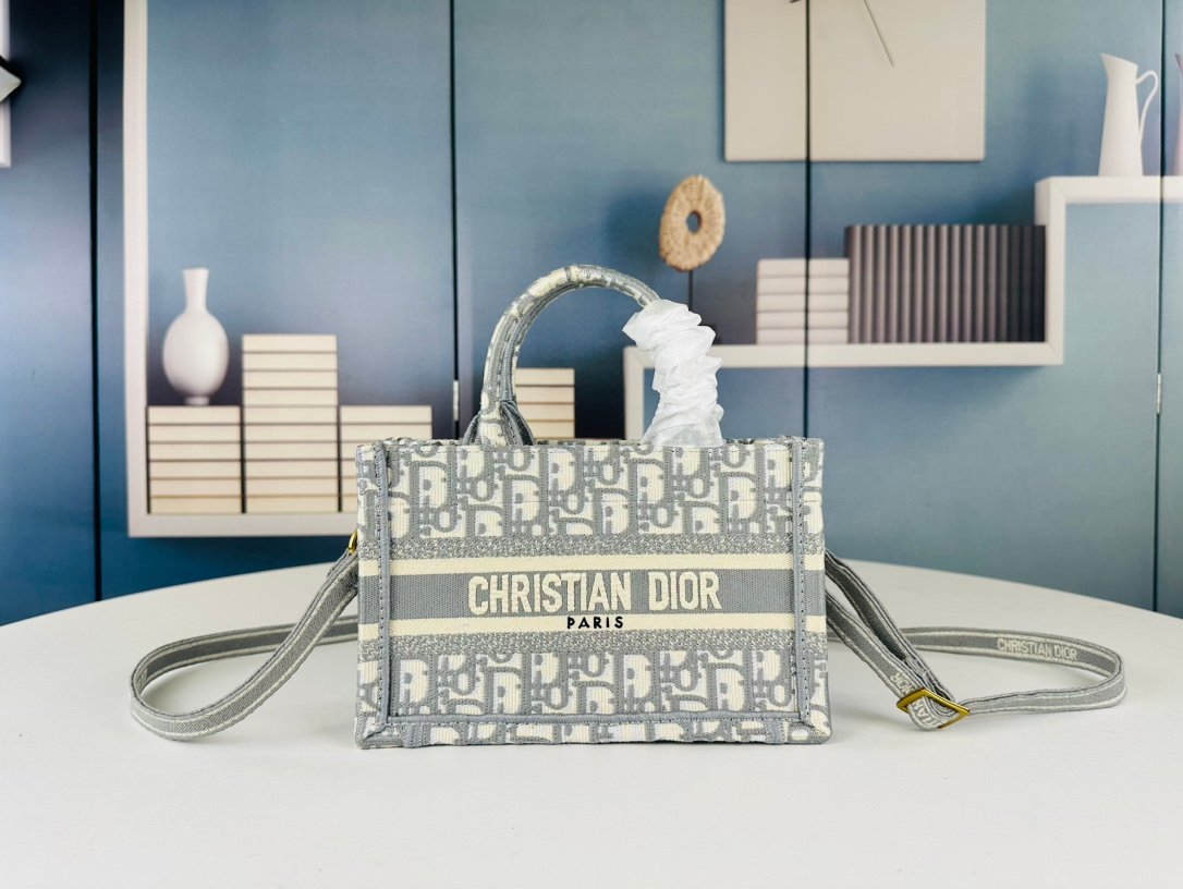 CD Book Tote Small Oblique Canvas - Bag