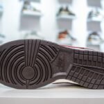 NK Dunk Low Pro SB – Sneaker – Marrone