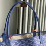 GYD Saint Louis – Borsa – Viola