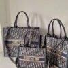 CD Book Tote Oblique Canvas - Bag · Ref. BA20317