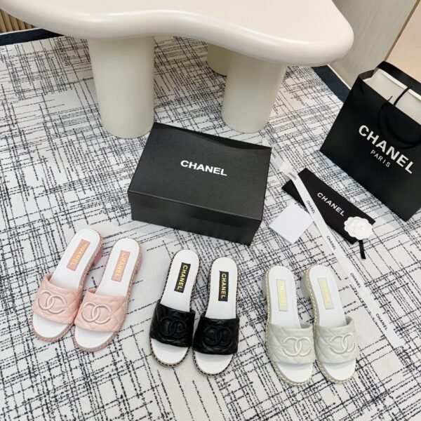 CC Camellia Slides - Slides