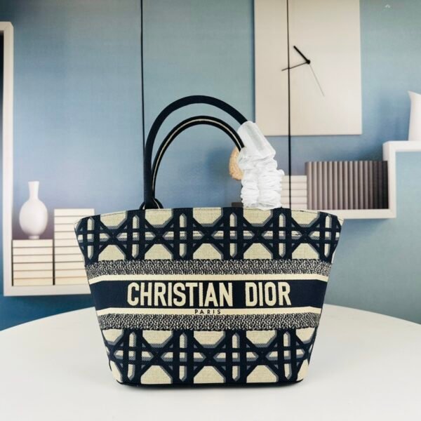 CD Book Tote Medium Oblique Canvas - Bag