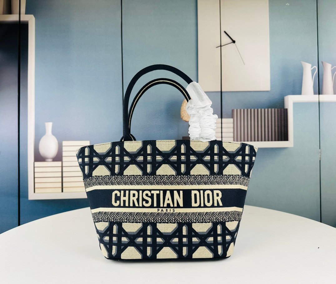 CD Book Tote Medium Oblique Canvas - Bag