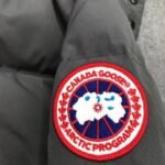 CG Langford Parka – Jacket – Gray