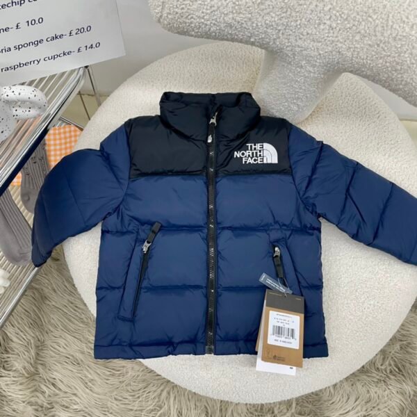 TNF 1996 Retro Nuptse Jacket - Jacket