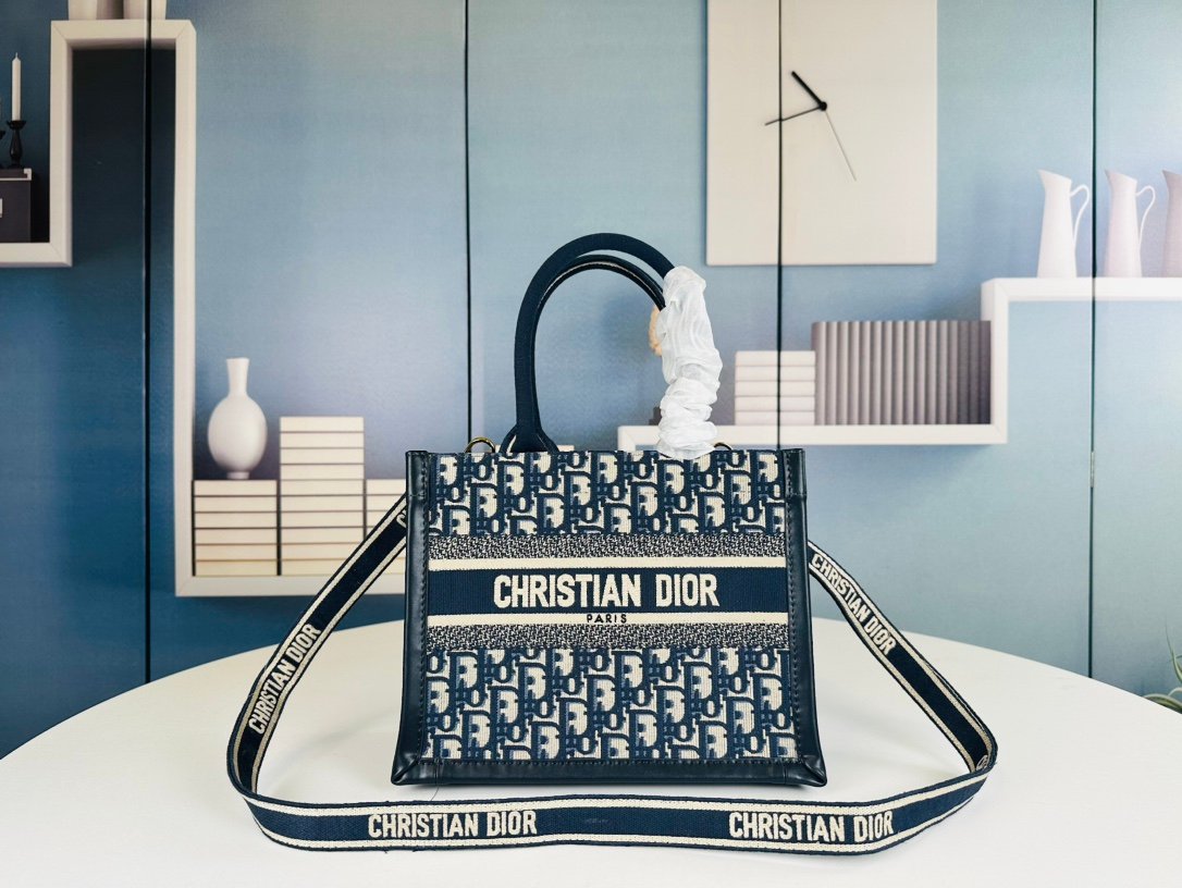 CD Book Tote Small Oblique Canvas - Bag