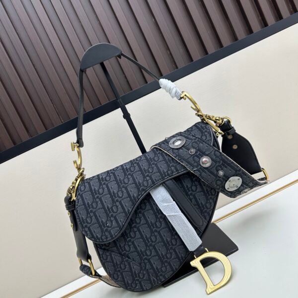 CD Saddle Large Oblique Canvas - Bag