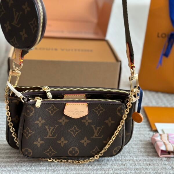 LV Multi Pochette Accessoires - Bag