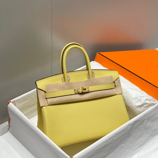 HM Birkin Baby Yellow Togo Leather - Bag