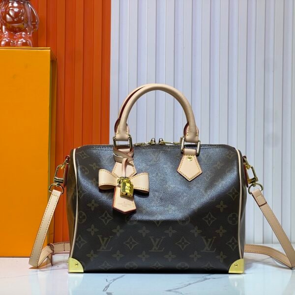 LV Speedy Bandoulière 25 - Bag