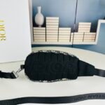 CD Saddle Belt Bag – Belt Bag