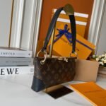 LV Loop – Sac