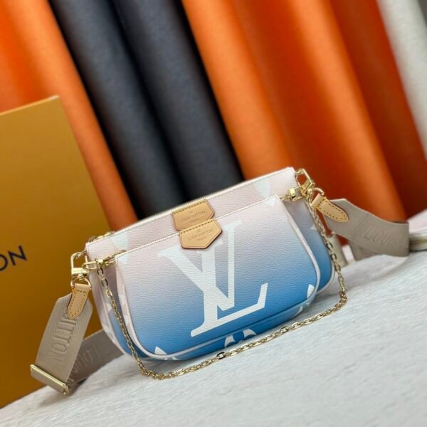 LV Multi Pochette Accessoires - Bag