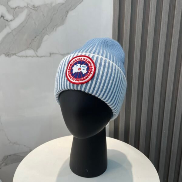 CG Arctic Program Beanie - Hat