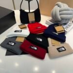 TNF Logo Beanie Red Wool – Hat