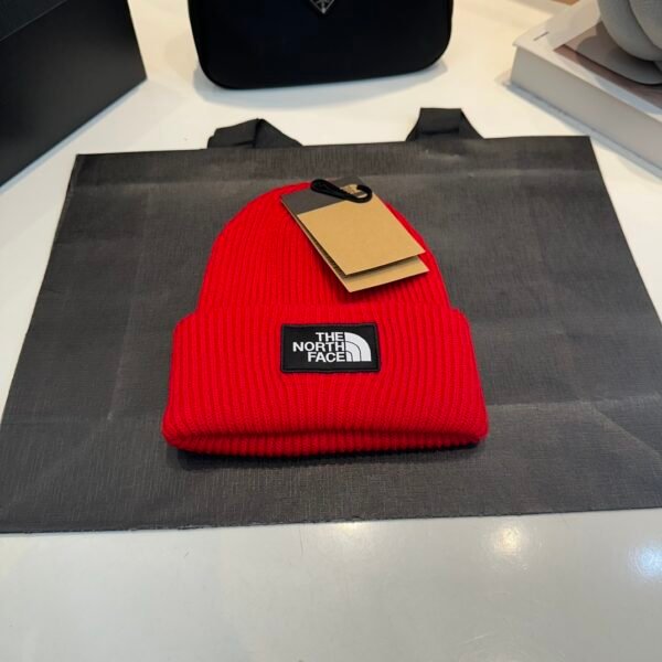 TNF Logo Beanie Red Wool - Hat