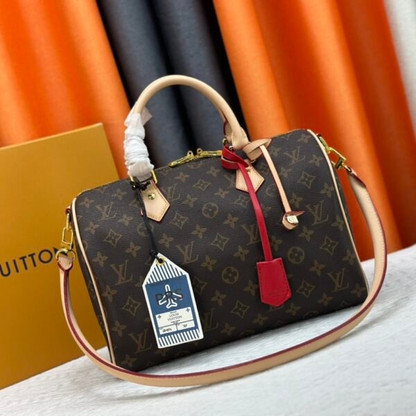 LV Speedy Bandoulière 25 Monogram Canvas - Bag