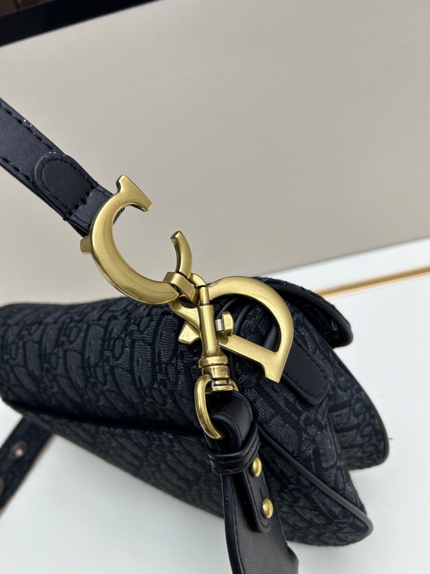 CD Saddle Large Oblique Canvas - Bag - Image 5