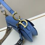 CD Saddle – Borsa
