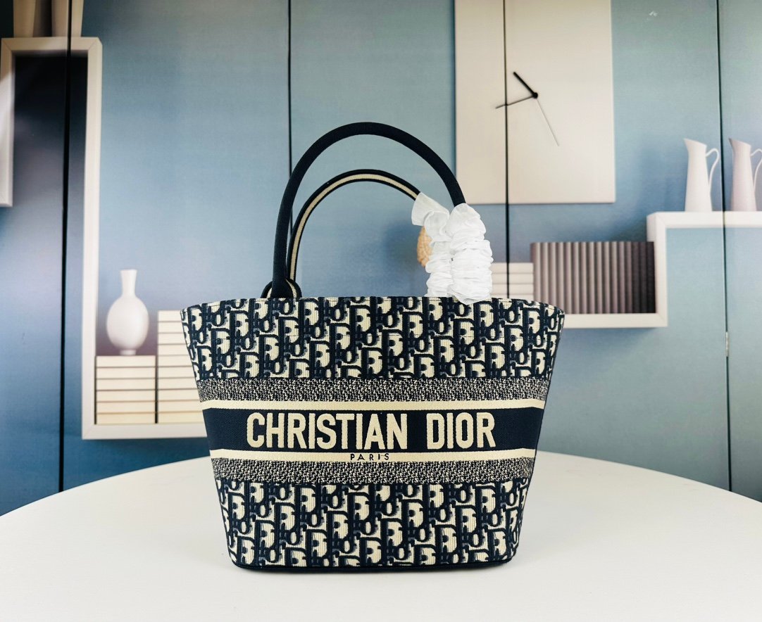 CD Book Tote Medium Oblique Canvas - Bag