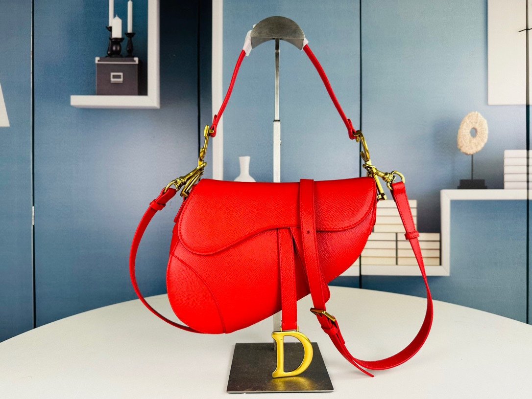 CD Saddle Red Leather - Bag