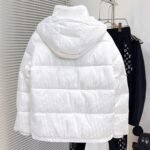 CD CD Oblique Down Jacket White – Jacket