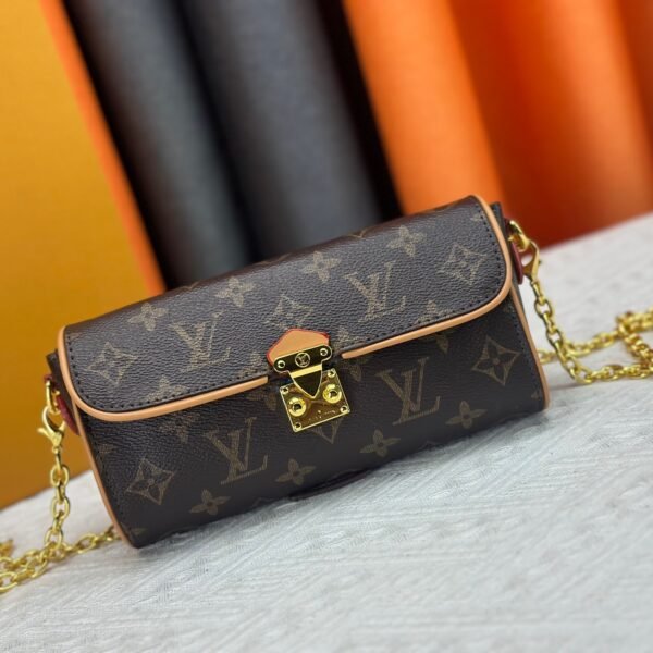 LV Pochette Félicie Monogram - Bag