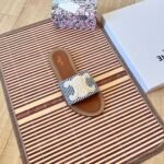 CEL Triomphe Canvas Slides – Slide