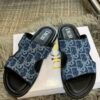 CD Dway Slide Blue Oblique Canvas - Slides · Ref. SH15510