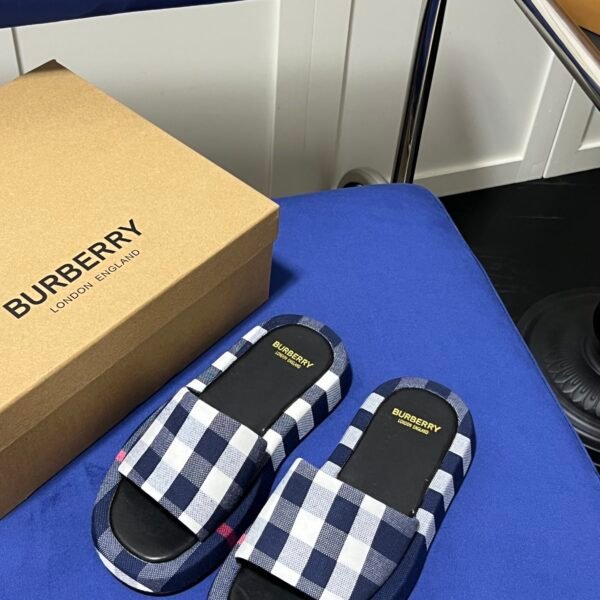 BBR Check Slides - Slides