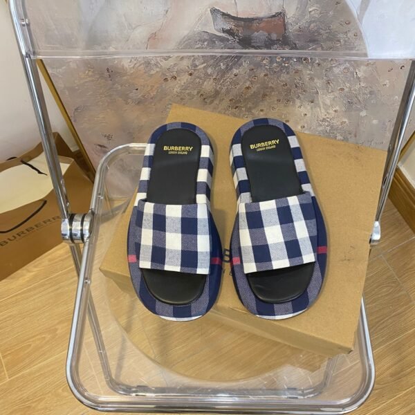BBR Check Slides - Slides
