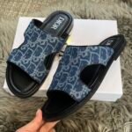 CD Dway Slide Blue Oblique Canvas – Slide
